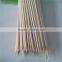 Promotional Top Quality Food Baking Bamboo Corn Skewers
