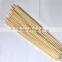 Healthy food hot sale tornado potato sticks