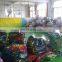 Phthalate Free Children Cartoon Customized Inflatable Sofa