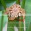 copper rings manufacturer, copper rings exporter