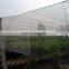 hot sale cheap price hdpe agriculture bird netting for agriculture