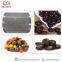 Automatic Chocolate M&M Smarties Gems Machines Ball Chocolate Malt Ball Making Machine