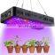 Indoor Garden Plant Light 900W black shell  full spectrum led grow light