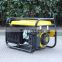Electric Generator European Flywheel Non Fuel Fuelless Function Mini Gas Gasolina Home Generator