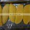 Sinocharm BRC-A approved IQF mango cut Frozen mango