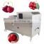 All kinds Of Fruit And Vegatable Pepper Apple Peach Core Removing Machine