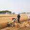 Miwell Rice Cutter and Bundle Machine Mini Diesel Reaper Binder for Paddy Wheat