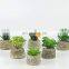 Hot Sale Korean Cactus Potted Suculentas Planta Mini Vaso Suculenta Plantas Artificiales Para Apared Succulent Plants With Pot