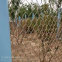 Stainless Steel Rope Mesh/Cable Mesh for Zoo Mesh/Aviary Mesh/Brid Mesh/Decorative Mesh/Stari Railing Mesh/Safety Netting Garden Fence/Protction Wire Mesh Fence