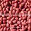 red skin peanuts