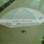 3 fold white color umbrella cheap Nylon fabric promotion umbrella