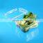 Rectangular Disposable Plastic Clamshell food box for fresh vegetable