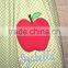 2016 hot selling students apple embroidery back to school boutique sets