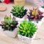 China Manufacturing Plants Decorative Artificial cactus/artificial succulent plant For Sale