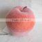 decorative artificial foam apple with emulation sugar for havest home decoration