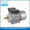 YE2-355M-2 (2 pole three phase high efficient asynchronous Industry motor AC motor)