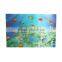Hot Sale Sealife Wall Pictures With 3d Effect