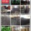 High quality Motorcycle tire 110/90-17 from Qingdao Factory