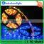 Shenzhen Ledcolourlight DC 24v DMX control rgb led strip light