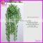 Hot Selling Evergreen Ornamental Outdoor Foliage Plants