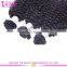 10A grade afro kinky hair 100% unprocessed afro kinky hair extensions mongolian kinky curly afro b hair styles