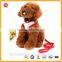 Custom design dog /cat bulk pet leashes with waste bag dispenser
