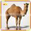 KANO0368 Shopping Mall Attractive Walking Camel Animal
