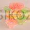 SK-V166 jelly cup in bag