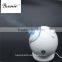 Bsonic negative ion steamer Make our skin absorb enough nutrition