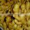 Ginger Price 2015 New Crop