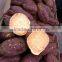 10kg/ctn Purple Sweet Potato