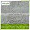 IQF frozen natural garlic, cloves, chopped, dice