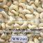 VIETNAM CASHEW NUT (website: visimex05, email: sales5@visimex.com)