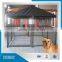 Chain Link Fancy Dog Kennels