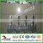 Galvanized Barbed Nails / barbed nails ( factory )