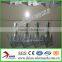 Anti-climb Wall Razor Spikes/ Weled Wire mesh Razor Spikes (factory )