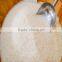 Combined rice mill and rice grinding machine for sale