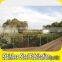 Customed Standard Design Stainless Steel Metal Terrace Railings