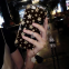 New product Silicone cell phone housing mobile Phone Cases for iPhone7/7Plus/6/6s/6plus/6splus tpu soft cover case shell