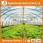 Heracles Trade Assurance tunnel greenhouse