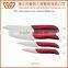 A3207 Antibacterial 5pcs Ceramic Kitchen Knife Set