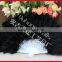 Performance accessory feather dance fan