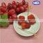 New product 2016 knot bamboo skewer wholesale