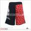 Cheap And Cool Design MMA Fight Shorts,Boxing MMA Martial Arts Wear Shorts