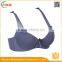HSZ-58004 Colorful Hot Sexy Girl Underwear Plus Size Bra New Design Ladies Push Up Bras Wholesale
