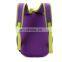 2017 fashion lion picture kids school backpack bag