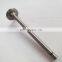 machinery diesel engineL10 intake valve 3033234