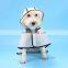 Amazon hot selling pet dog raincoat hooded pet waterproof poncho dog raincoat transparent