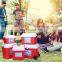 8L EPS foam mini small outdoor portable car camping ice chest cooler box