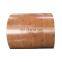 Pre Painted DX51D Galvanized Steel Coil Metal PPGI PPGL